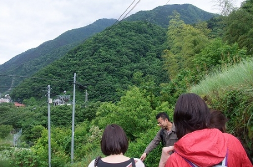 森のブログ始めました。