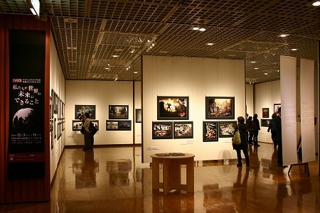 「DAYS JAPAN写真展 地球の上に生きる2011 ~私たちが世界にできること」開催