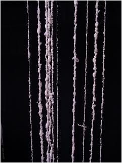 せたがやアートワークス
秋の教室~葡萄で染める
