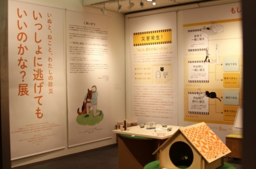 「いぬと、ねこと、わたしの防災 いっしょに逃げてもいいのかな?」展が、はじまりました。